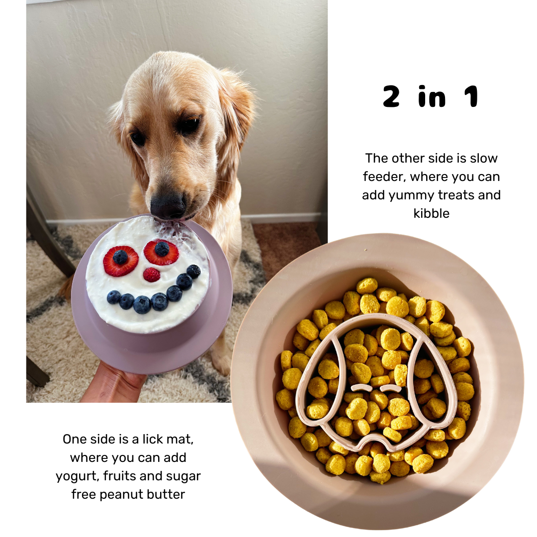 2-in-1 Slow Feeder/Lick Mat