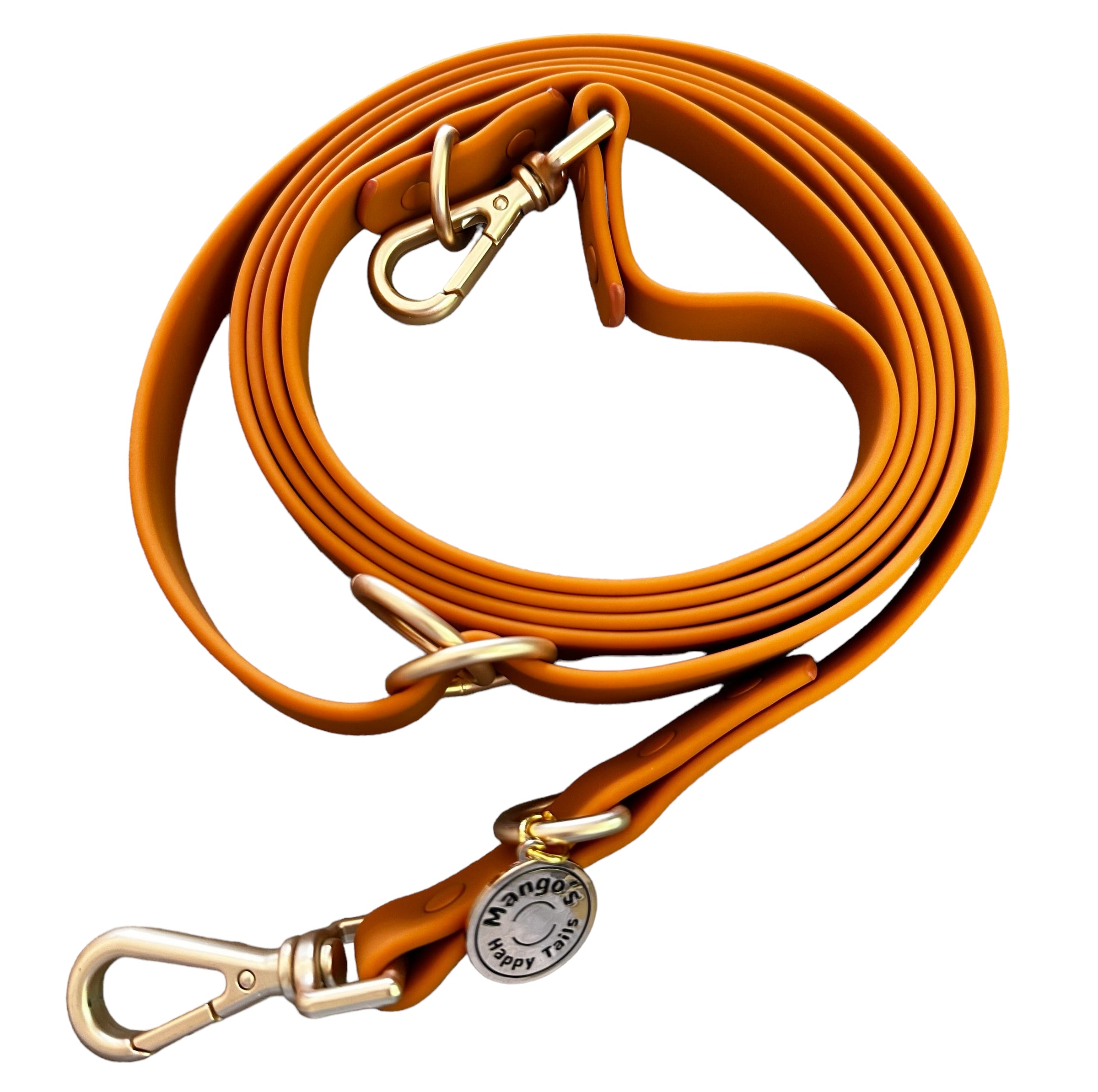 Mango Tango Hands Free Dog Leash