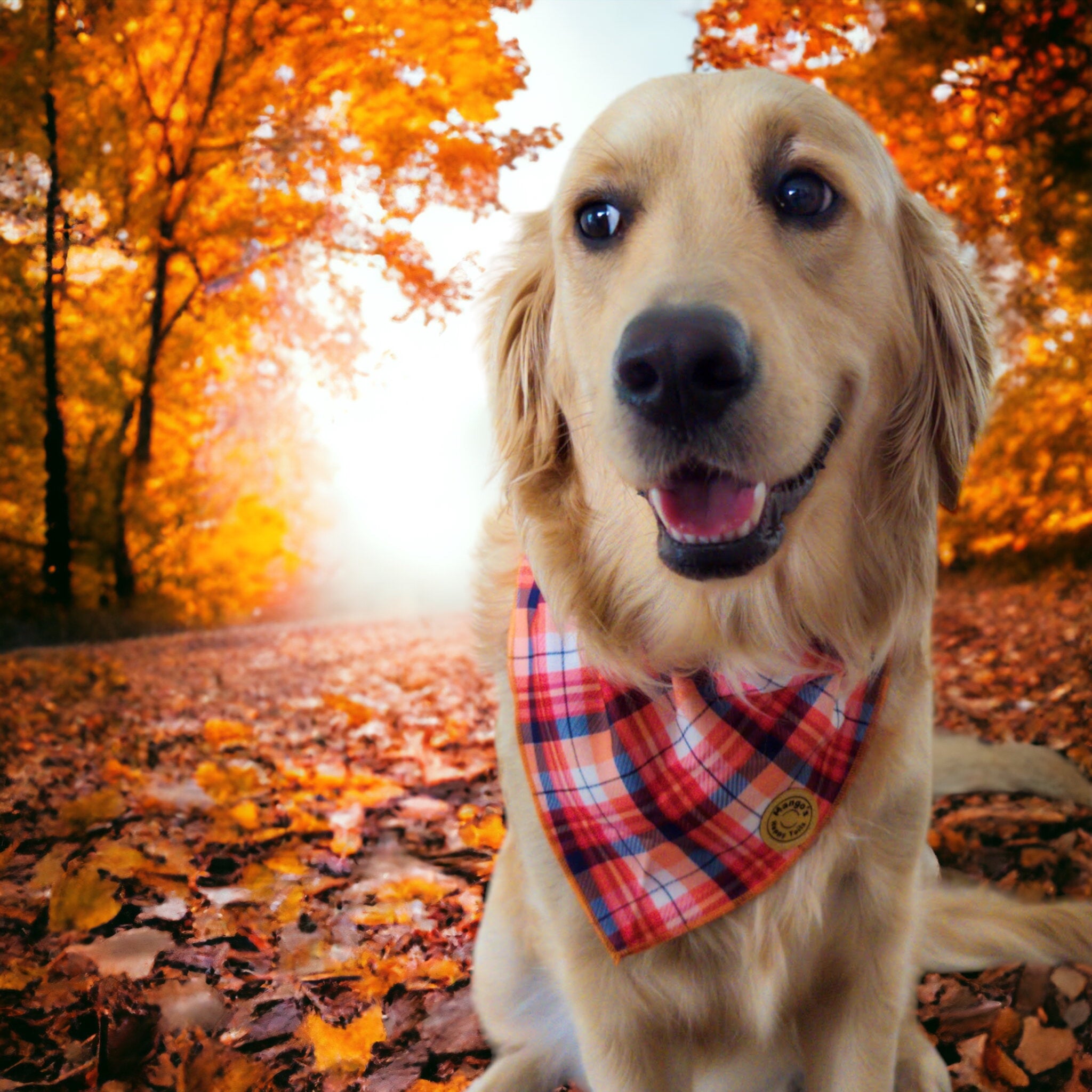 Sweater Weather Over The Collar Dog Bandana