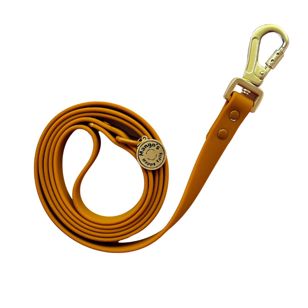 Pumpkin Waterproof Dog Leash