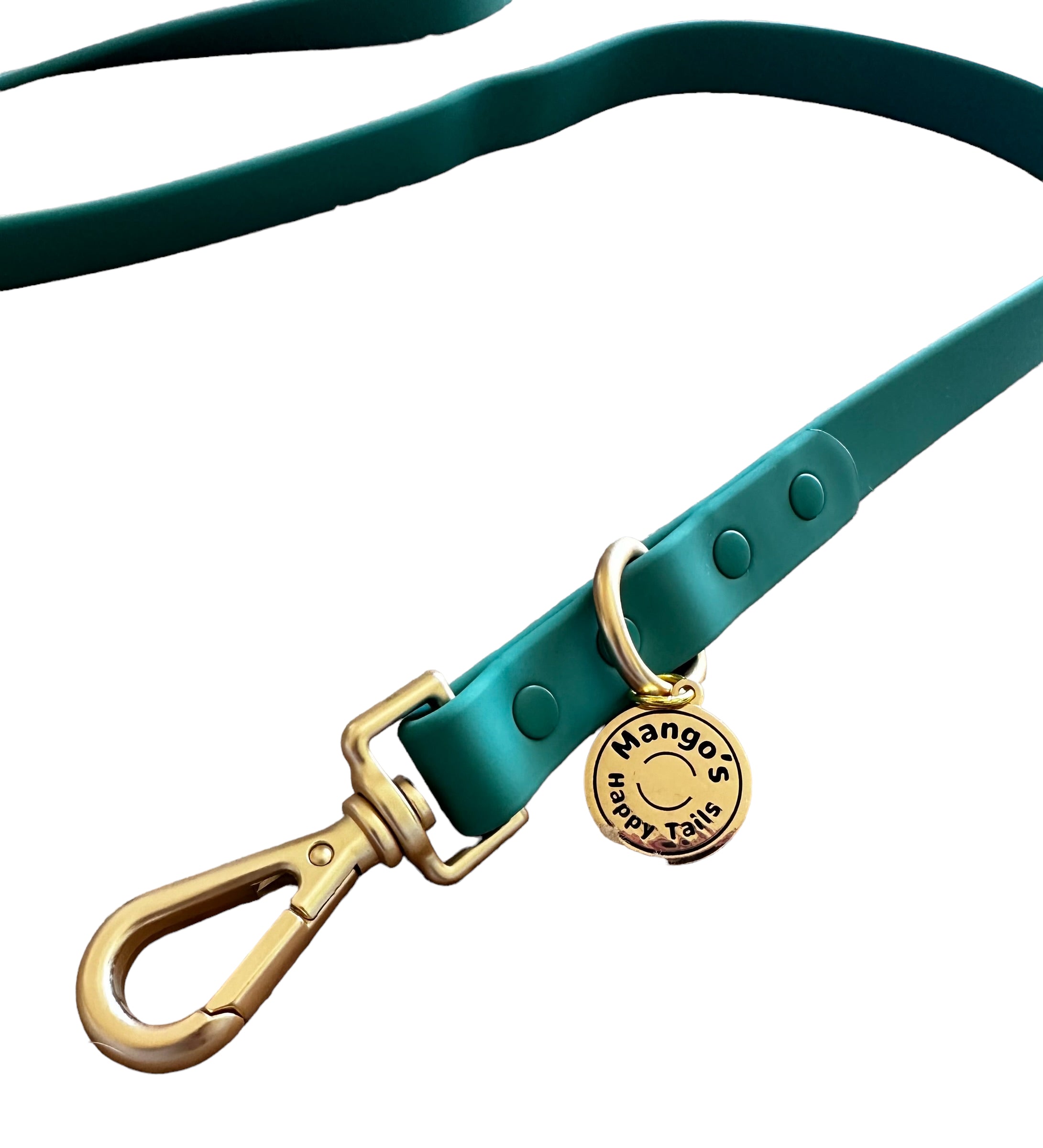 Jade Green Hands Free Dog Leash