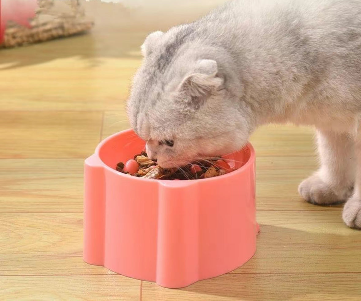 cat slow feeder