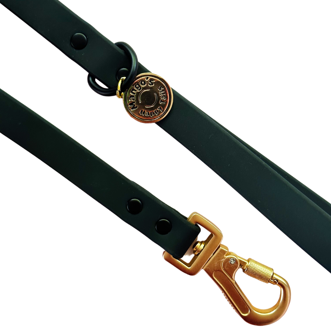 Midnight Waterproof Dog Leash