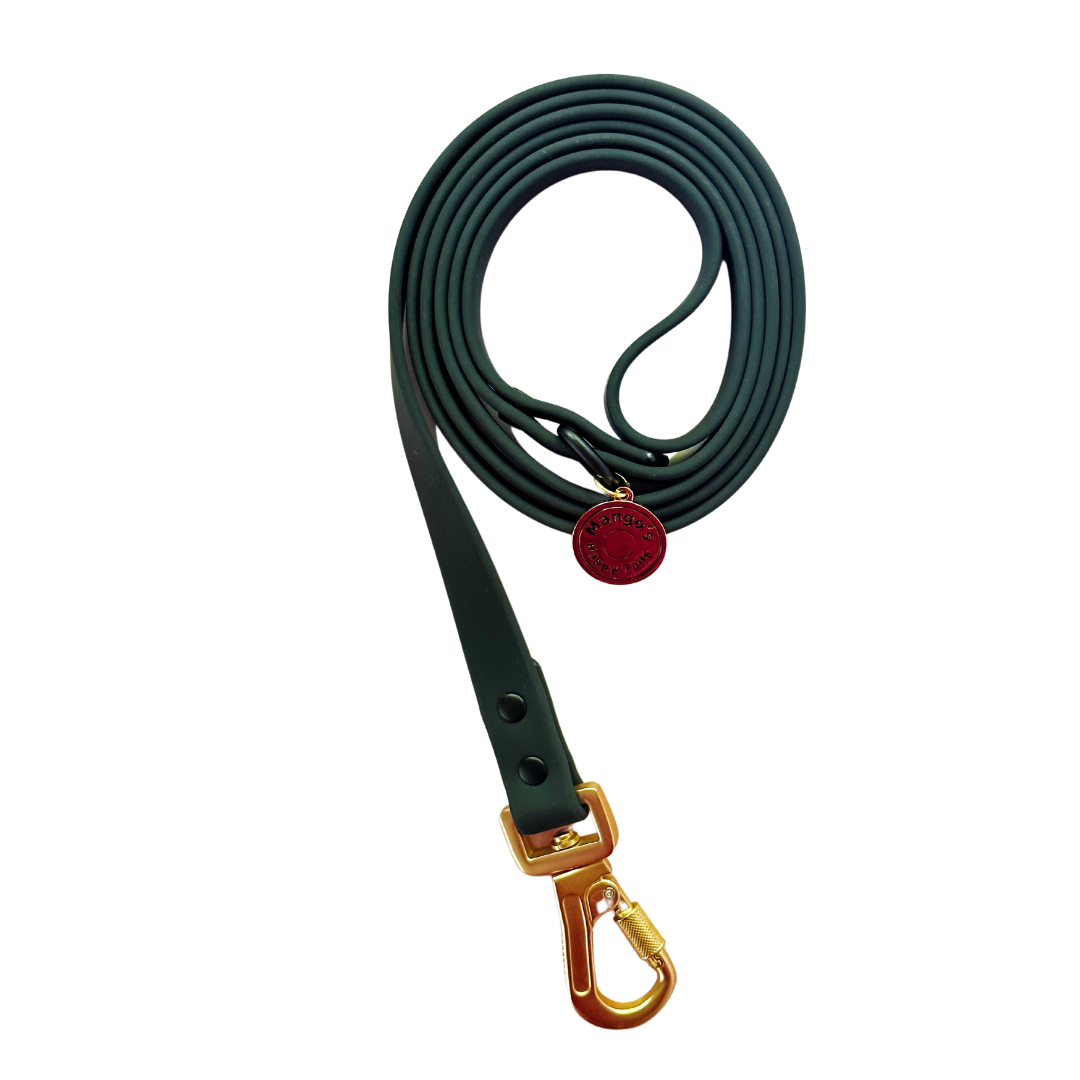 Midnight Waterproof Dog Leash