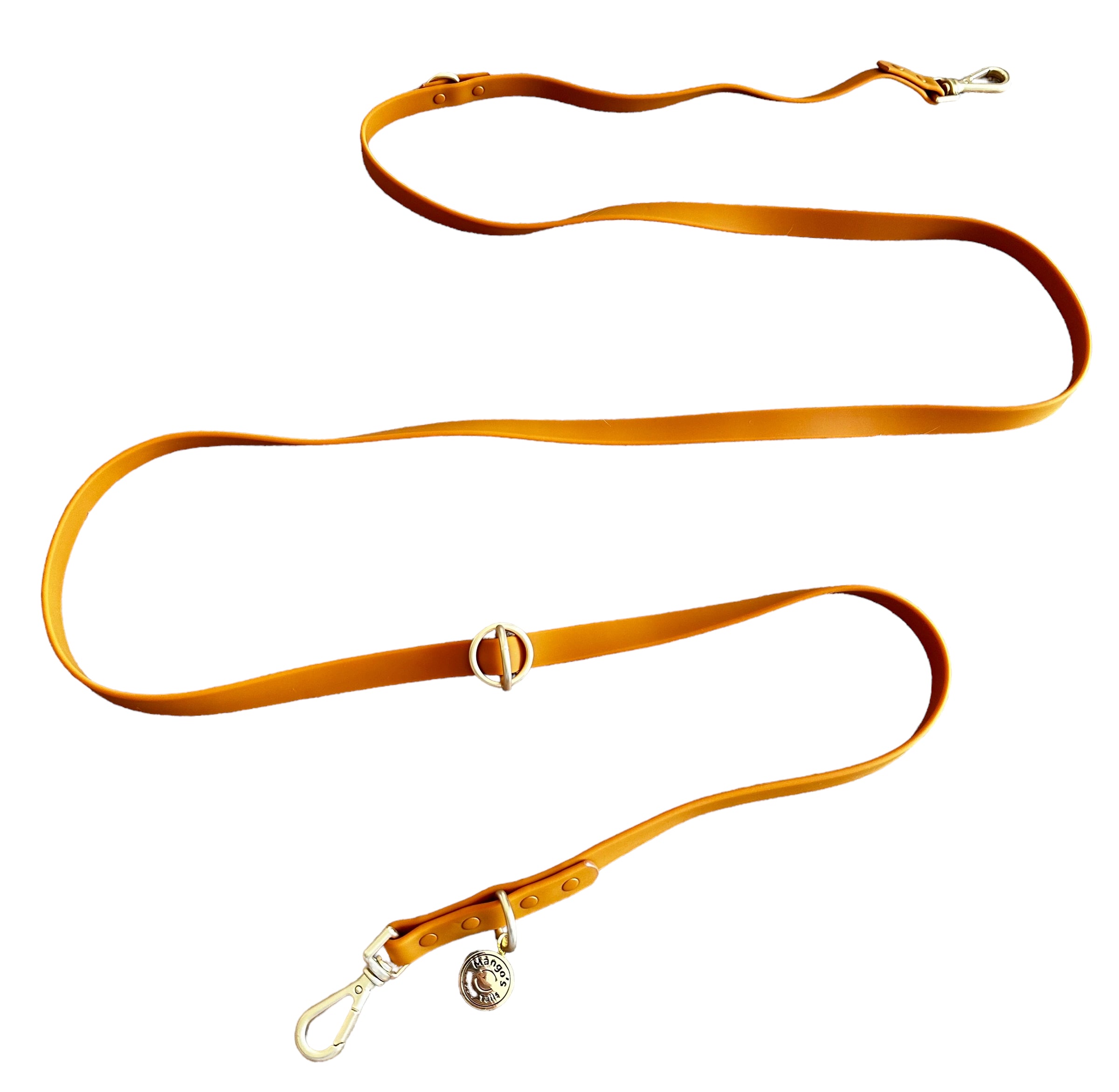 Mango Tango Hands Free Dog Leash