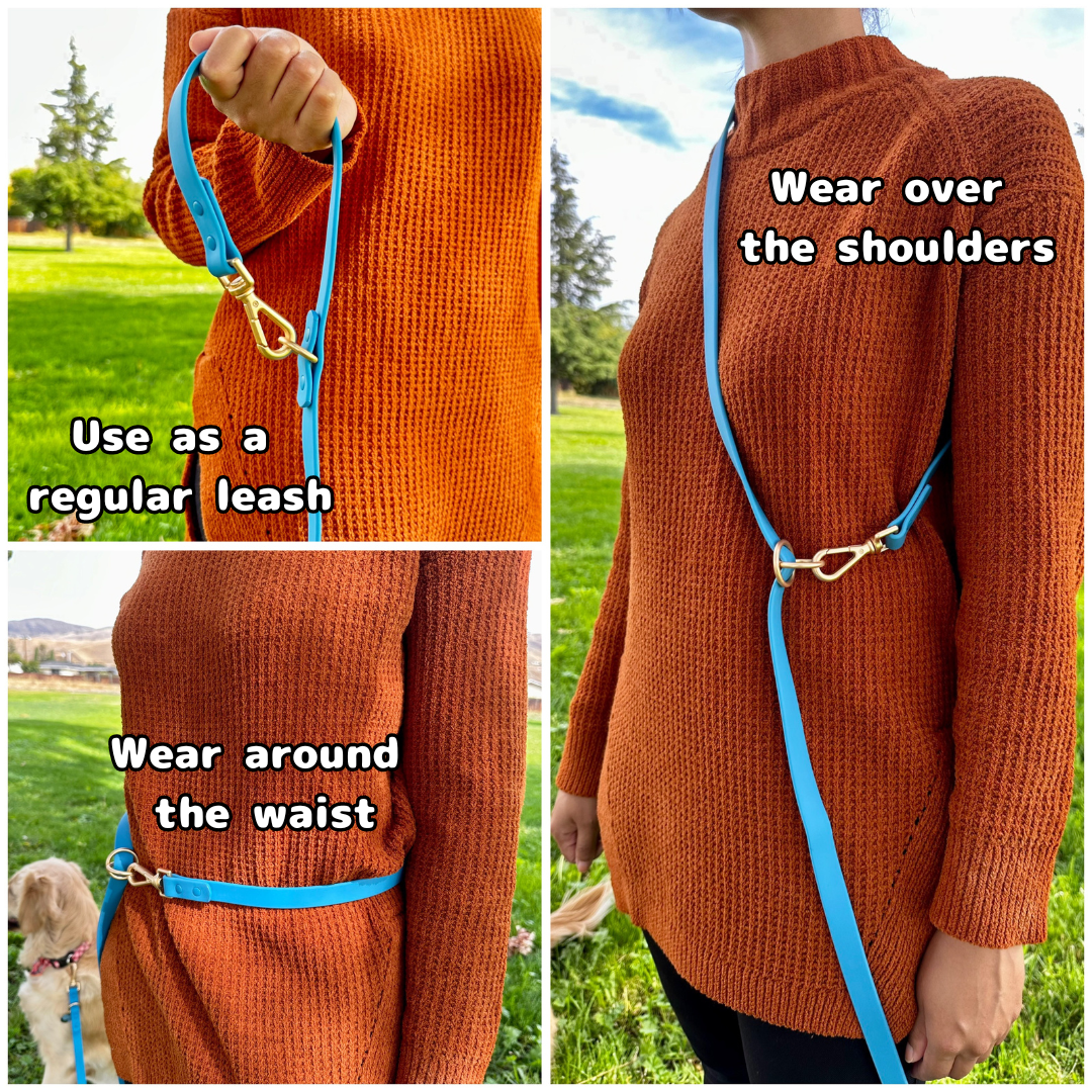 Mango Tango Hands Free Dog Leash