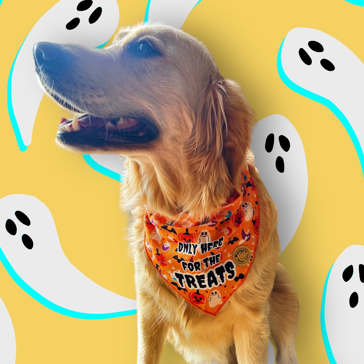 Halloween Over The Collar Dog Bandana