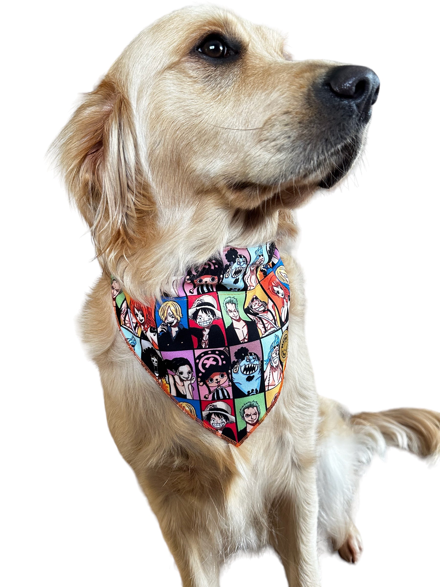 One Piece Over The Collar Dog Bandana