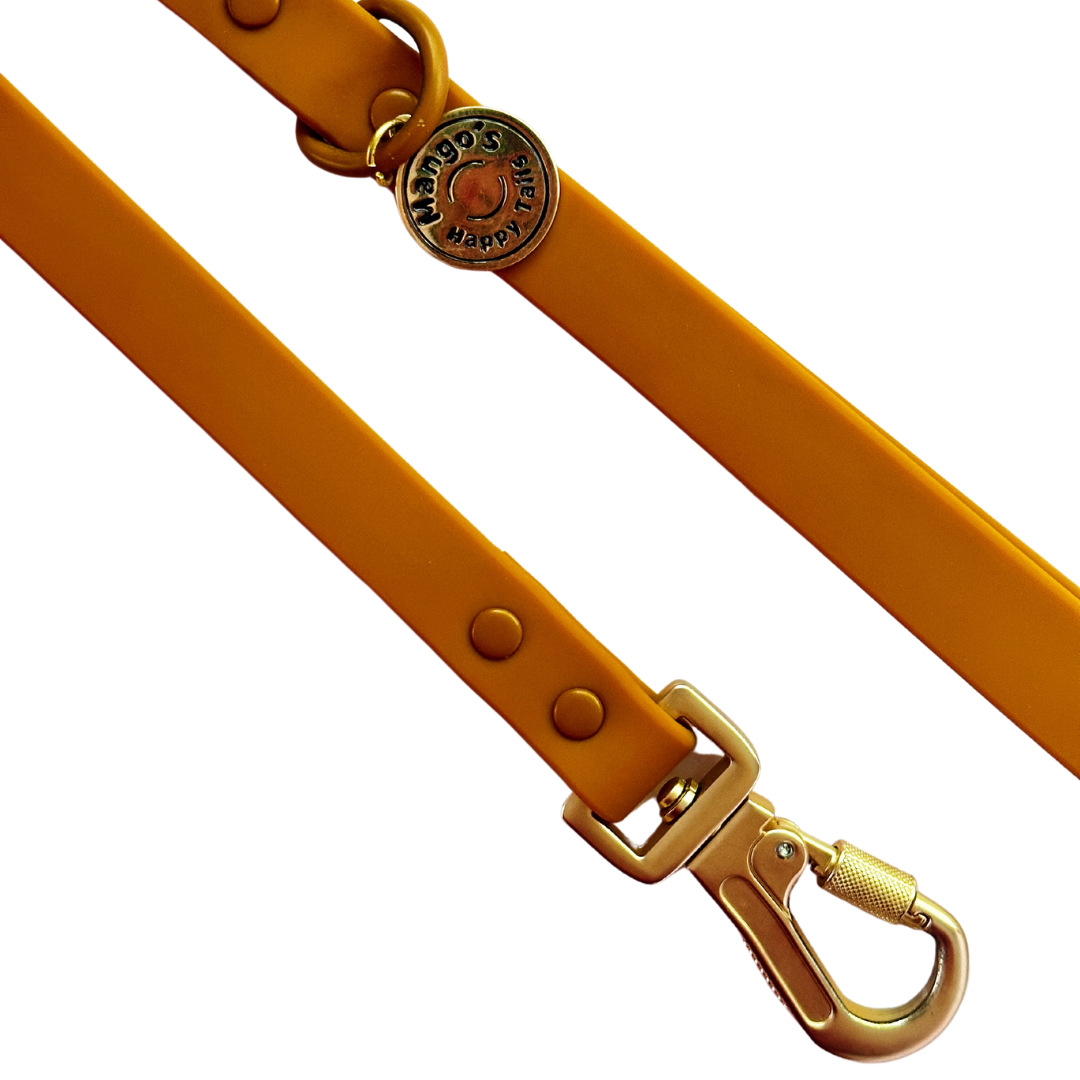 Pumpkin Waterproof Dog Leash