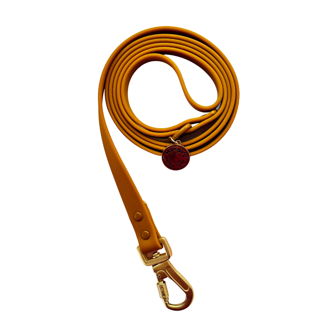 Pumpkin Waterproof Dog Leash